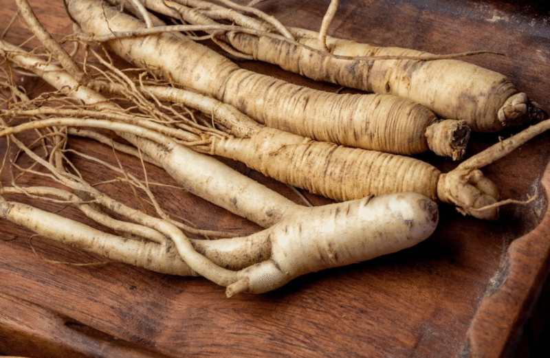 manfaat ginseng untuk stamina pria